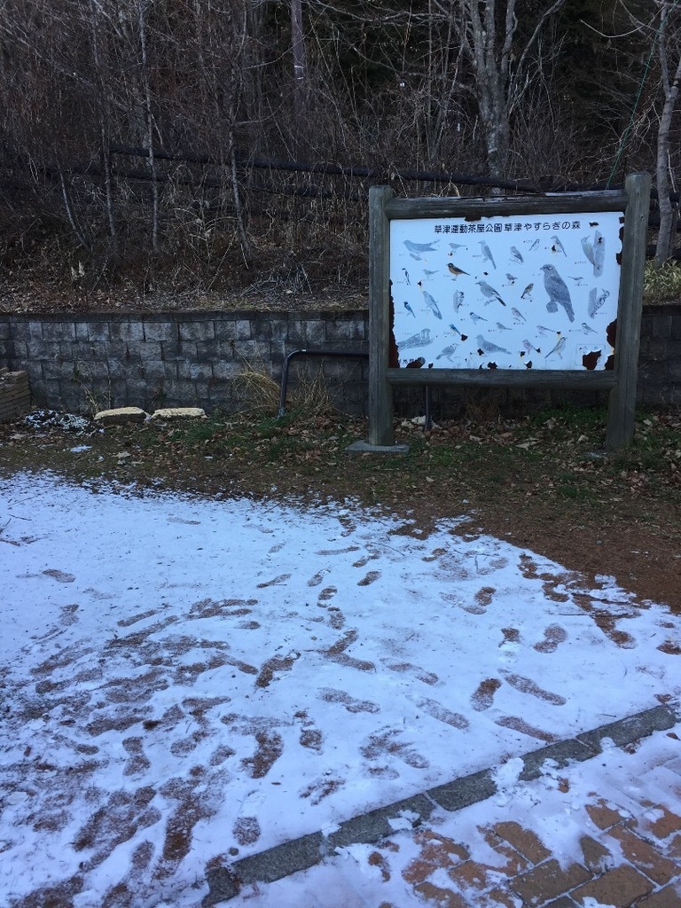 240C97EE-FE69-49C0-B152-C009FDD18397.jpeg