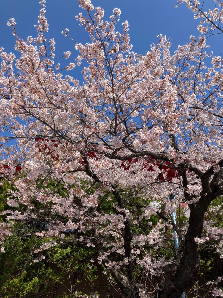 40AA24CE-F7EF-44CC-9393-286D557750BB.png