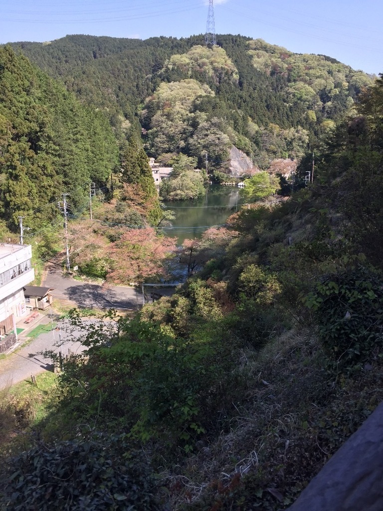 5797DD0F-85E1-4C04-B730-5C13D18209BB.jpeg