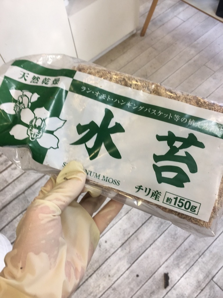 E7080033-CC94-4D06-A2A2-23BCDD0EC248.jpeg