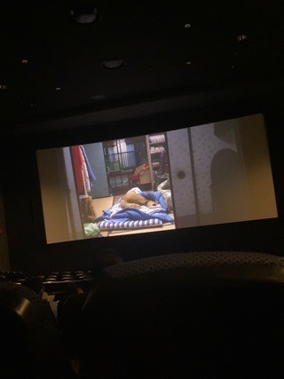 IMG_5031.jpeg