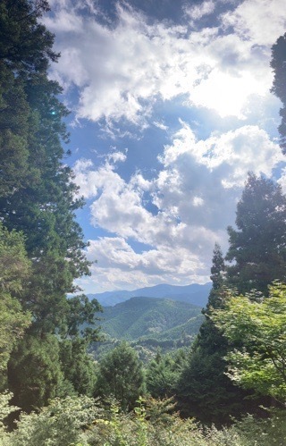 IMG_5307.jpeg