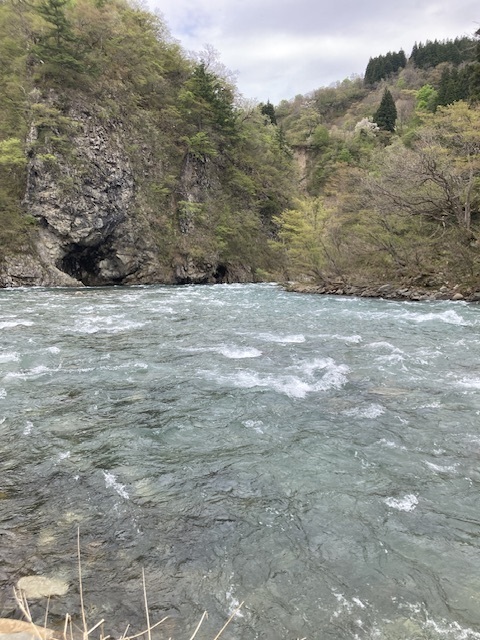 IMG_6761.jpeg