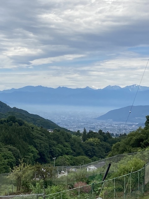 IMG_7380.jpeg