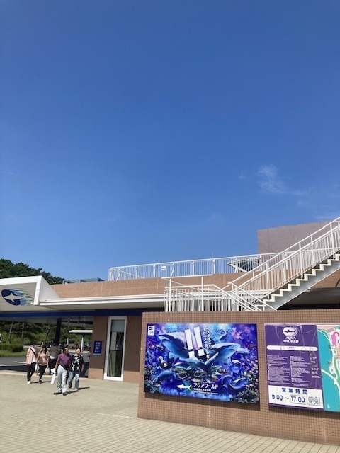 IMG_8216.jpeg