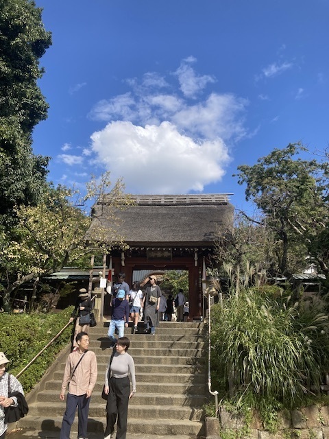 IMG_8503-66d2c.jpeg