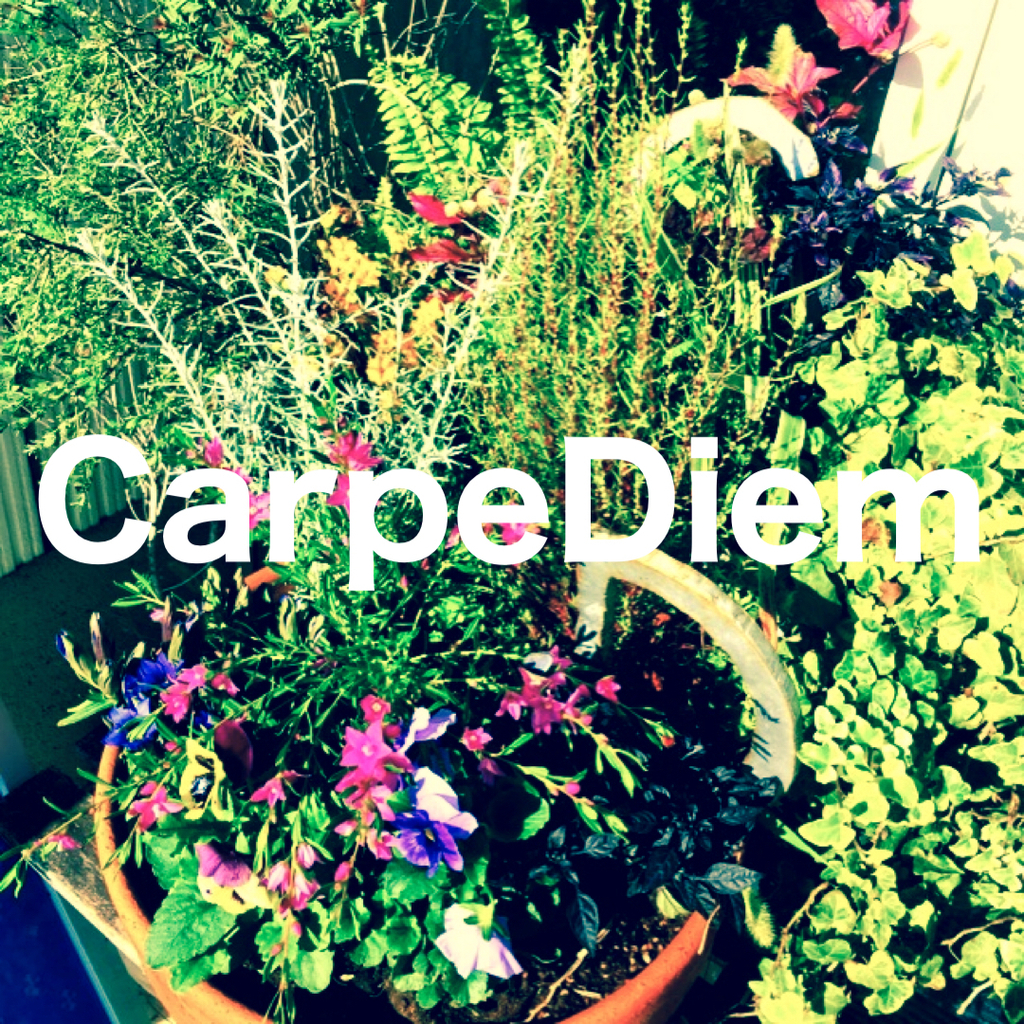 phonto-08d1f.jpeg