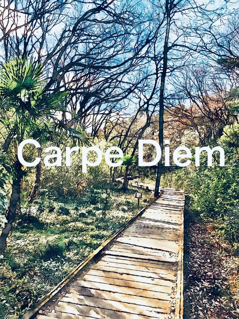 phonto-1a4cd.jpeg